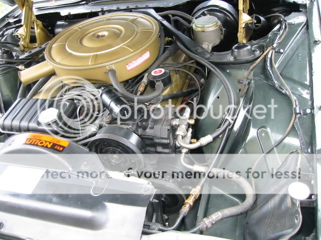 Ford 390 gold engine #7